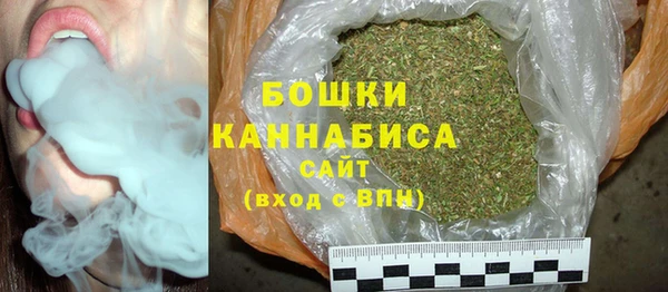 крисы Баксан