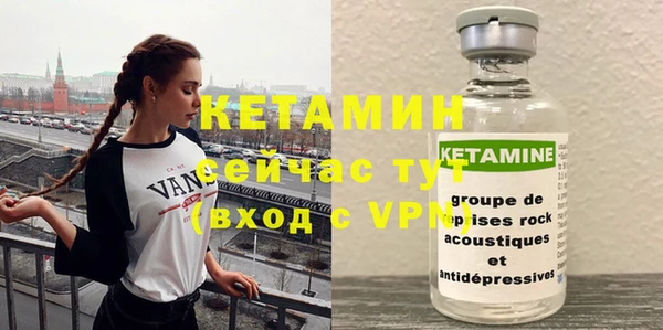 крисы Баксан