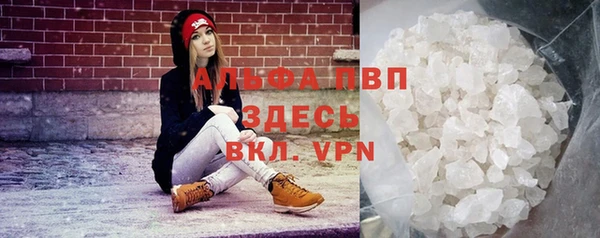 крисы Баксан