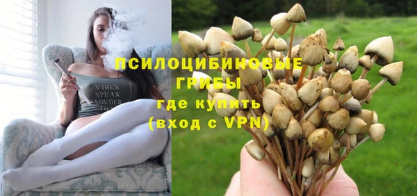 крисы Баксан