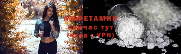 крисы Баксан