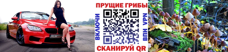 Галлюциногенные грибы Psilocybe Верхняя Пышма