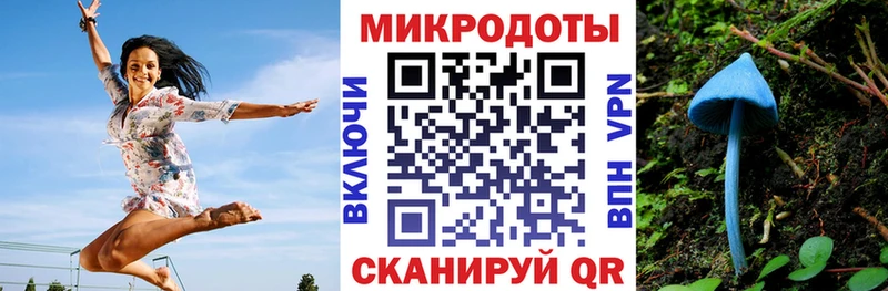 Галлюциногенные грибы Psilocybe  дарк нет клад  Верхняя Пышма 