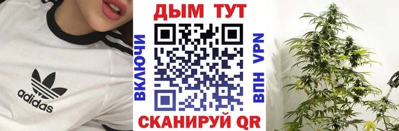Конопля Bruce Banner  Верхняя Пышма 